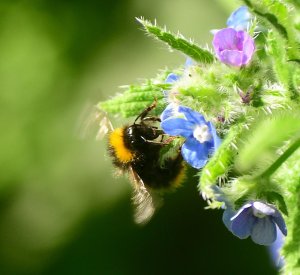 4835